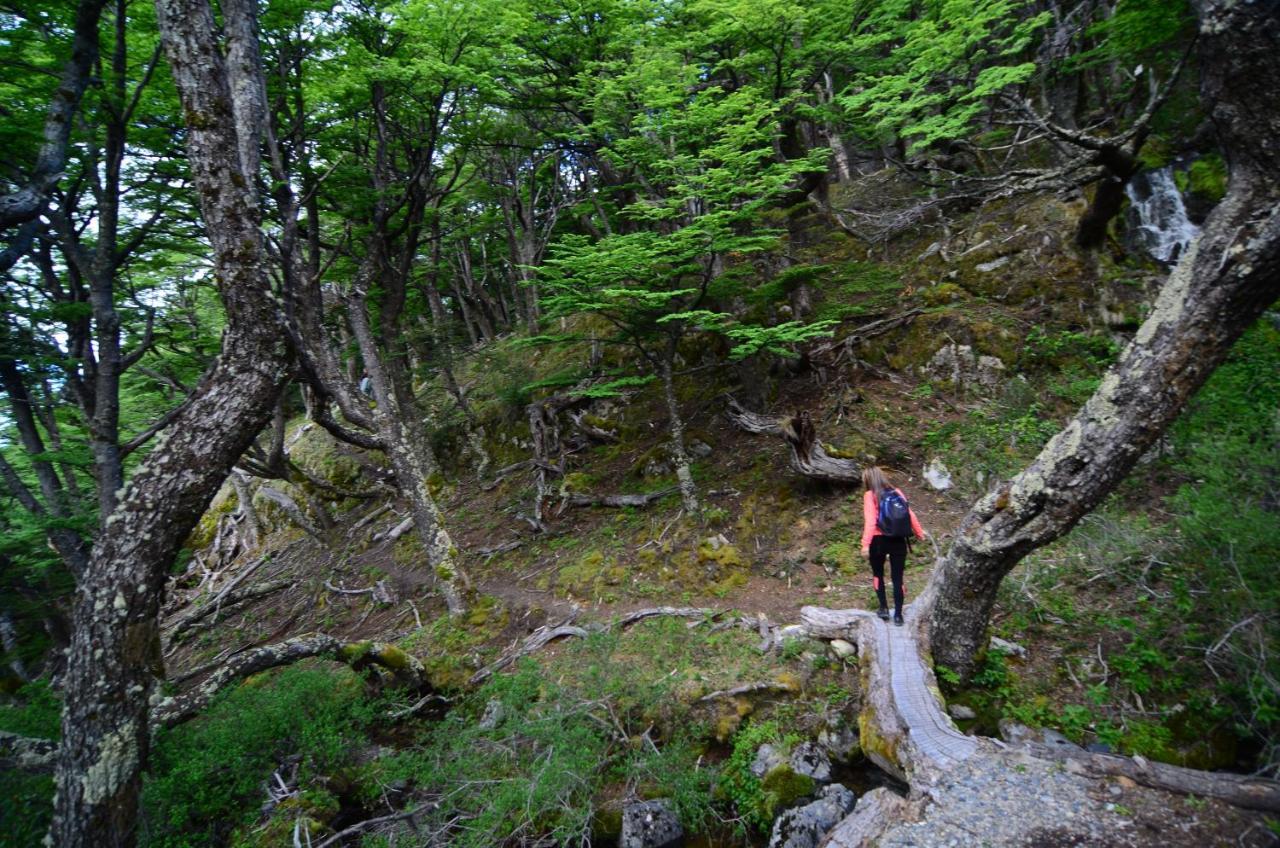 Aguas Arriba Lodge El Chalten Εξωτερικό φωτογραφία